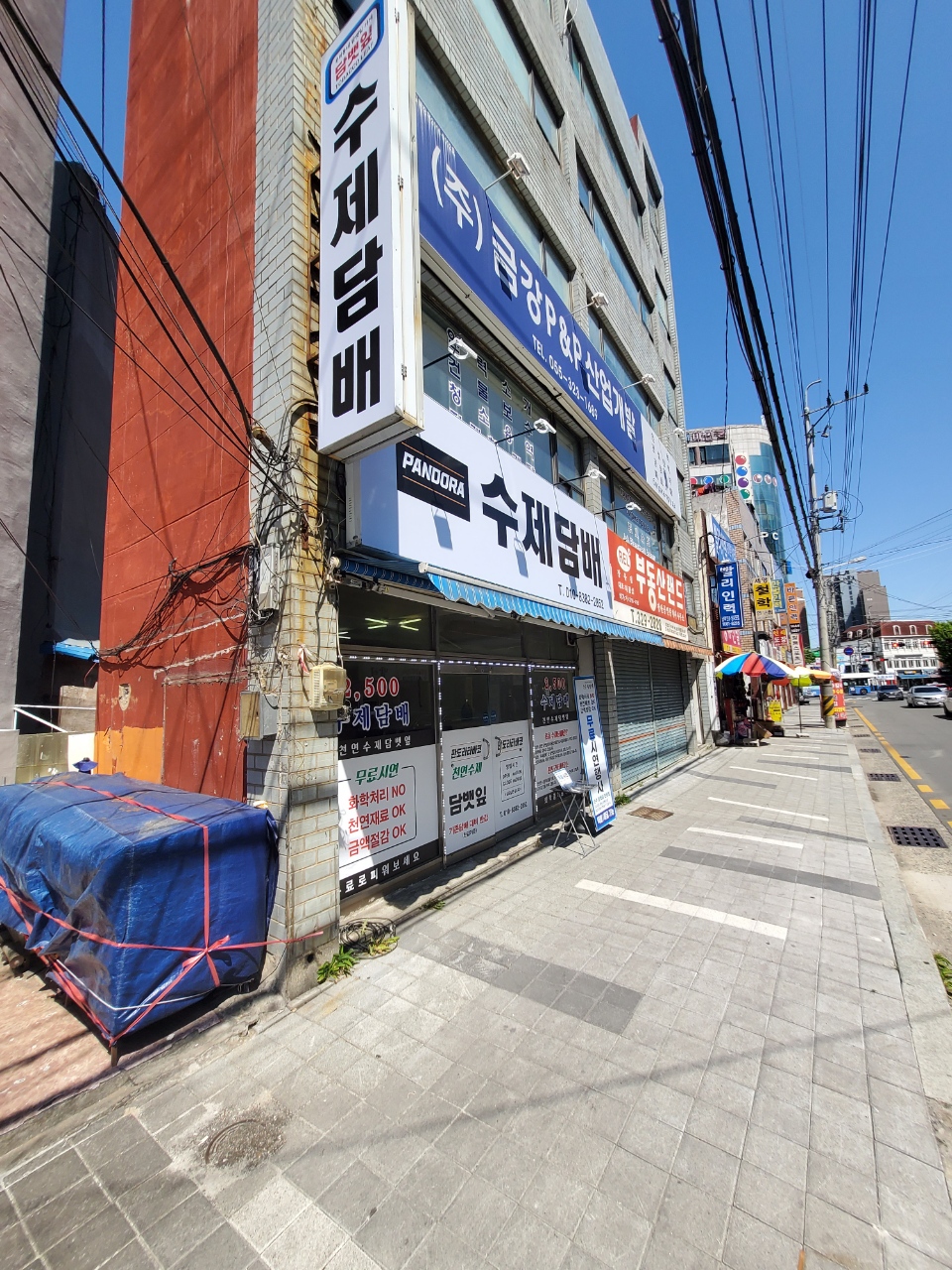 판도라타바코