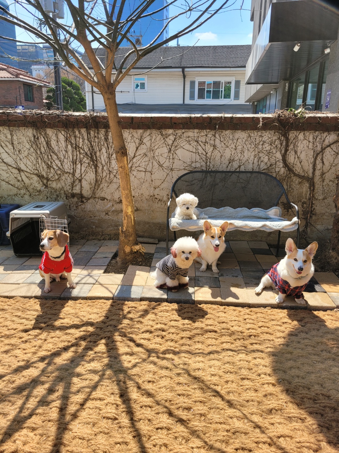 24개스트하우스 대표 이미지