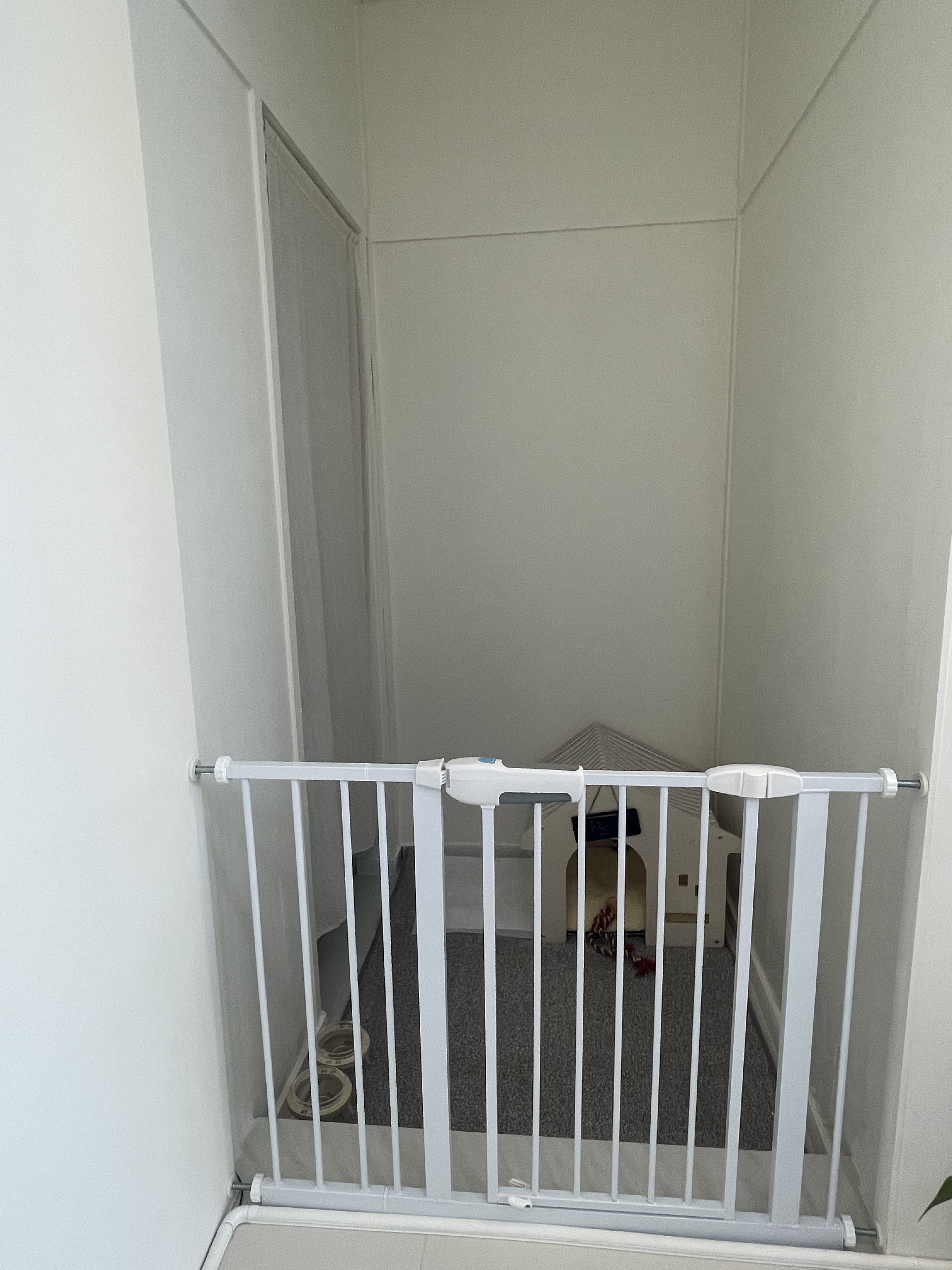 더이쁨 대표 이미지