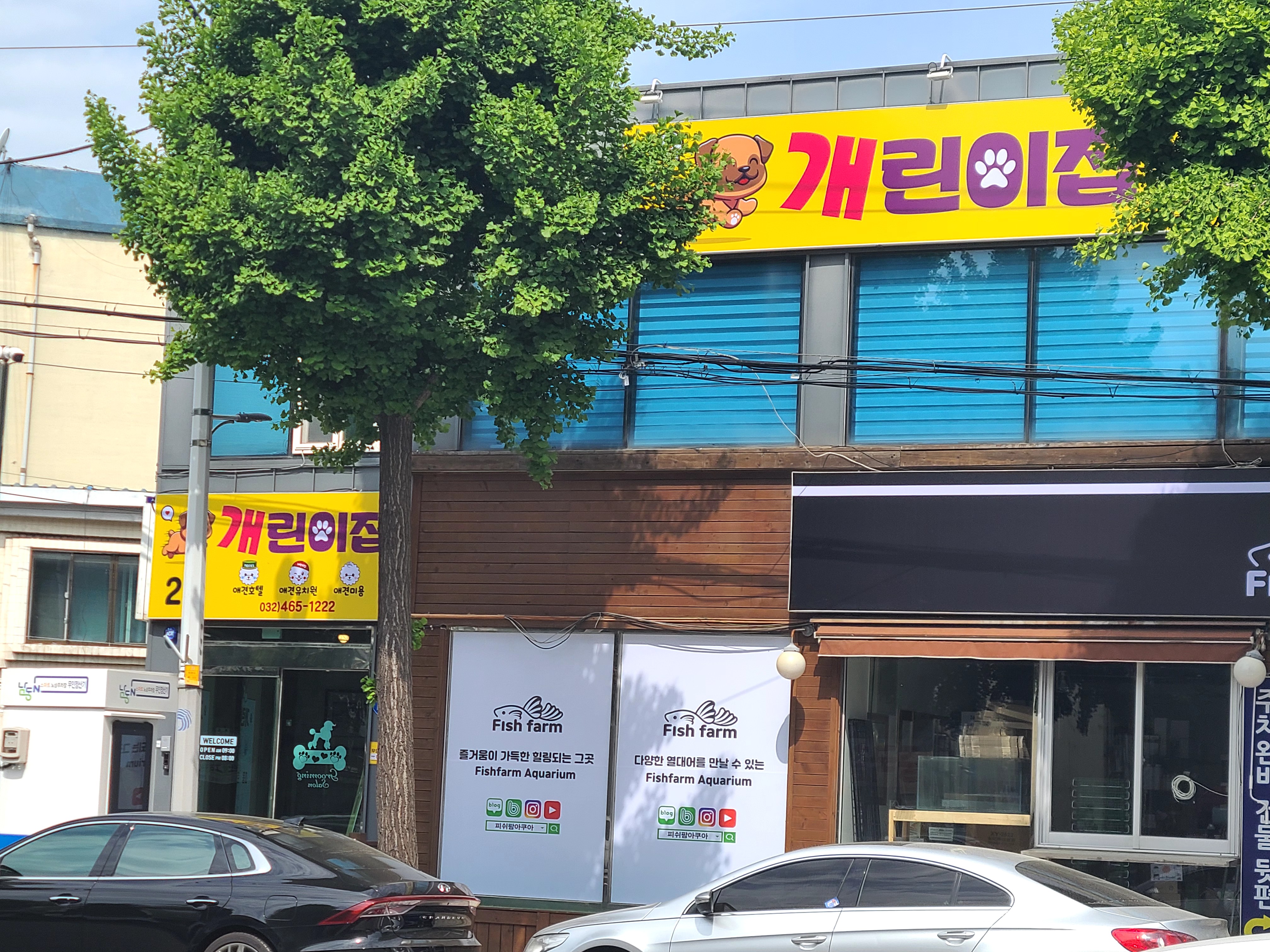 이미지