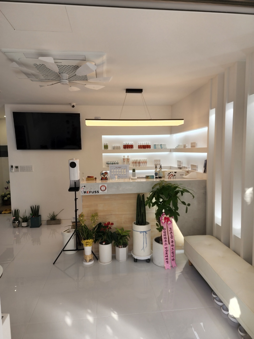 레푸스 제주일도점 대표 이미지