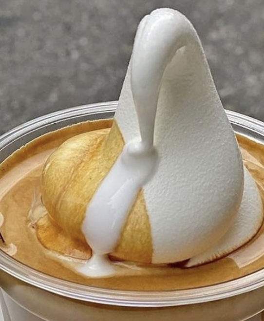 카페벨리 충청 애견맛집