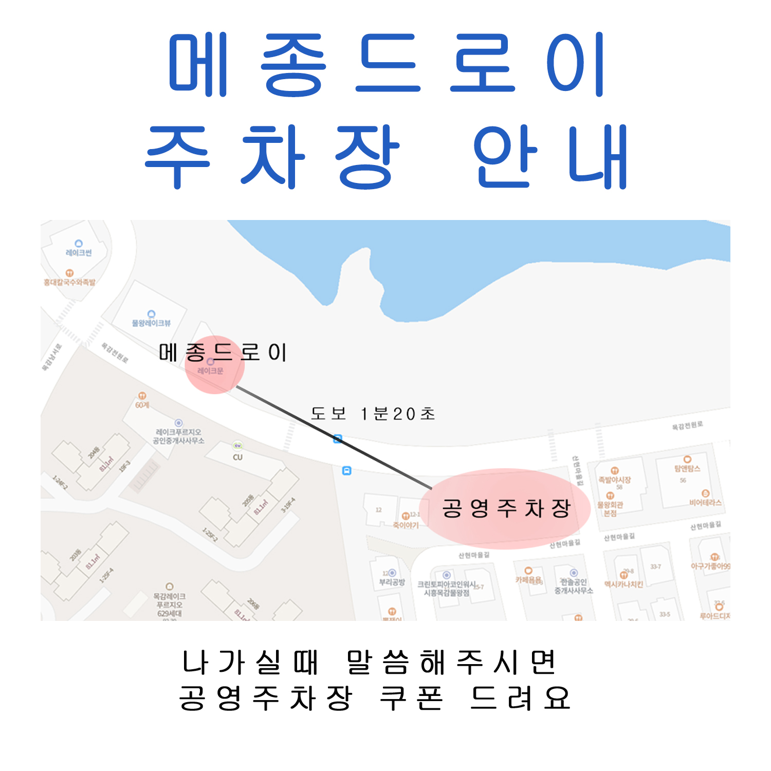 시흥애견카페 메종드로이 대표 이미지