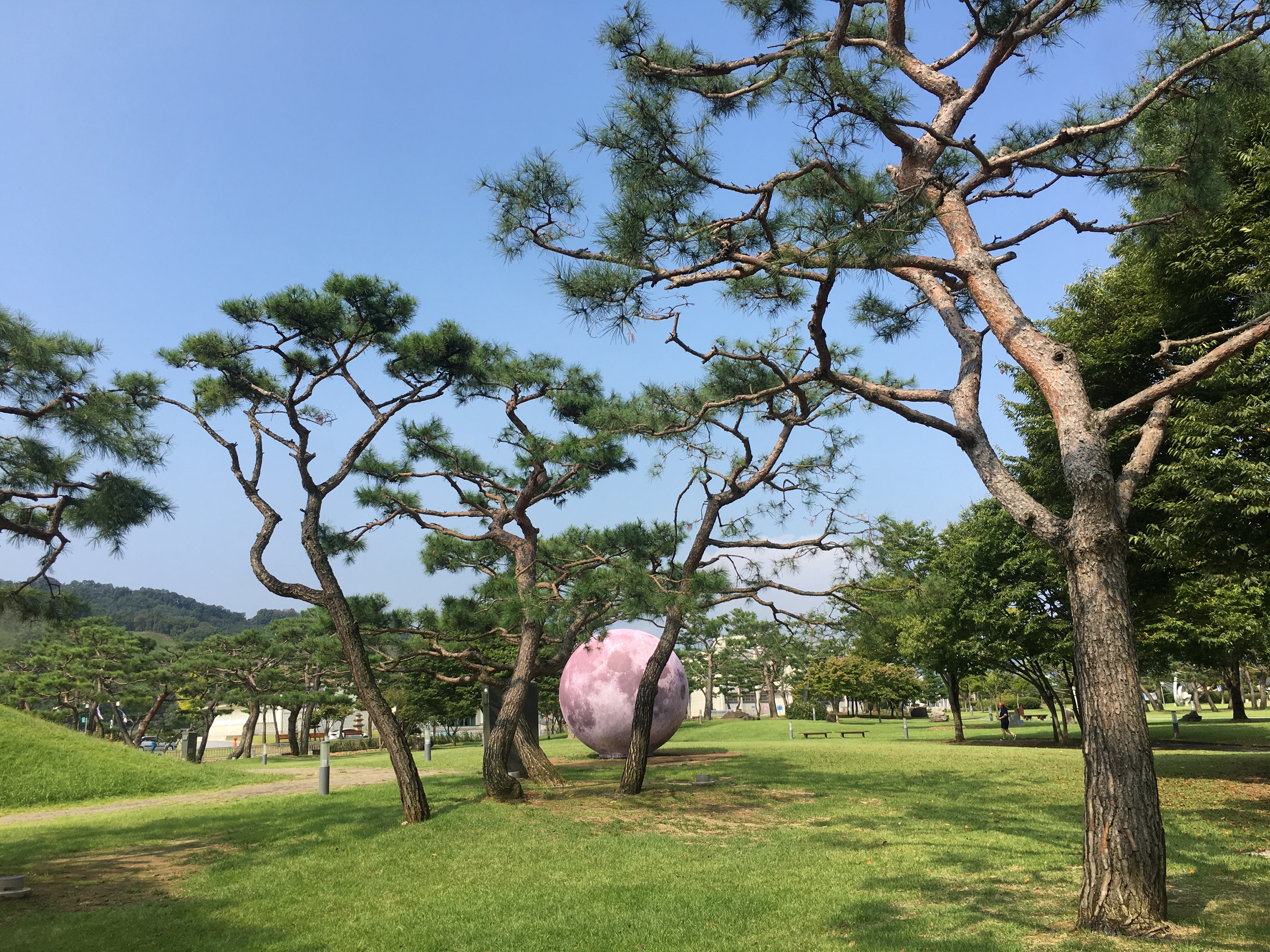 CALM21 대표 이미지