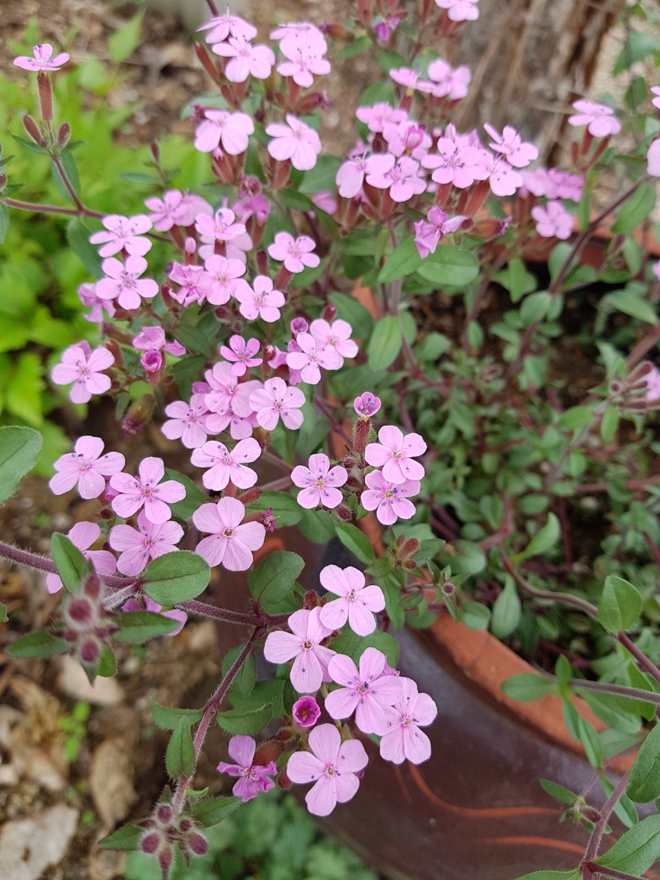 산들농원