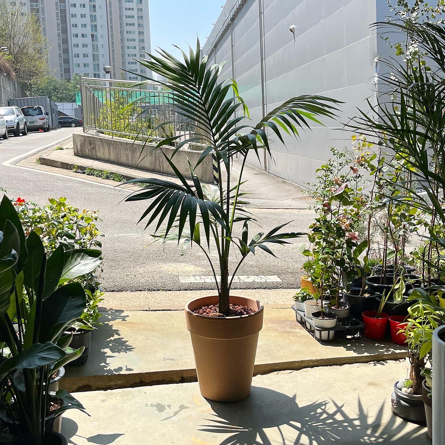 꽃바람화원