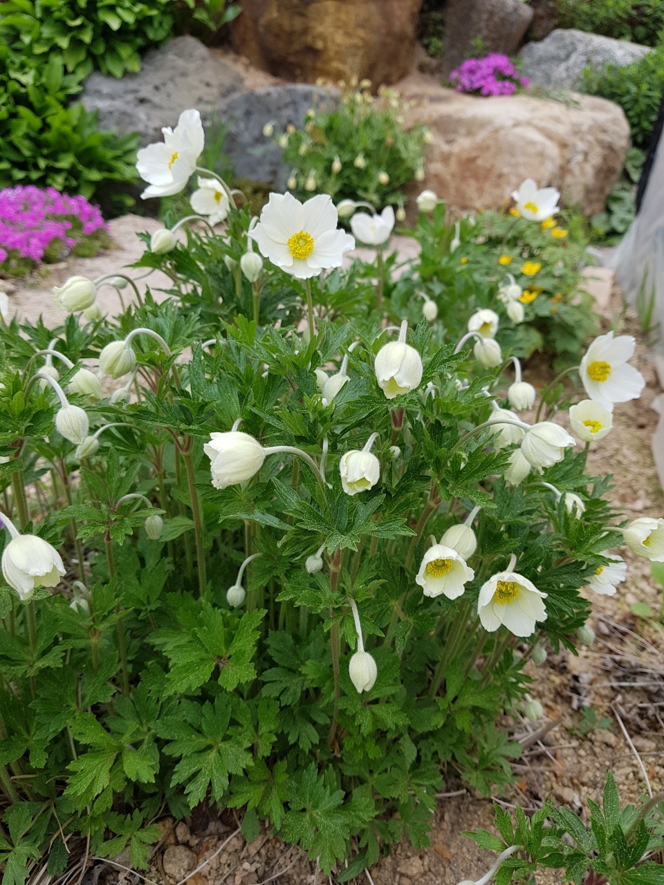 산들농원