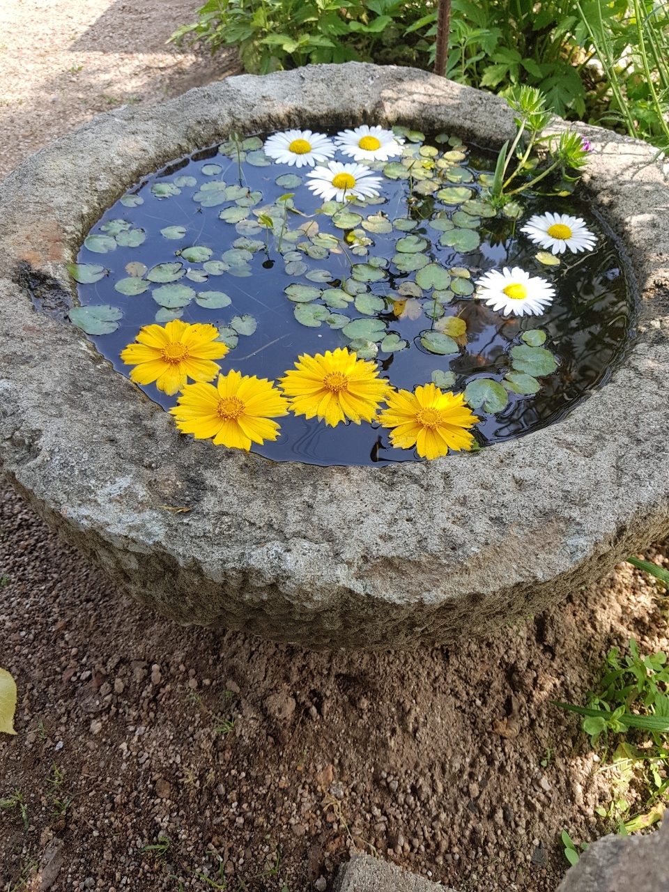 산들농원