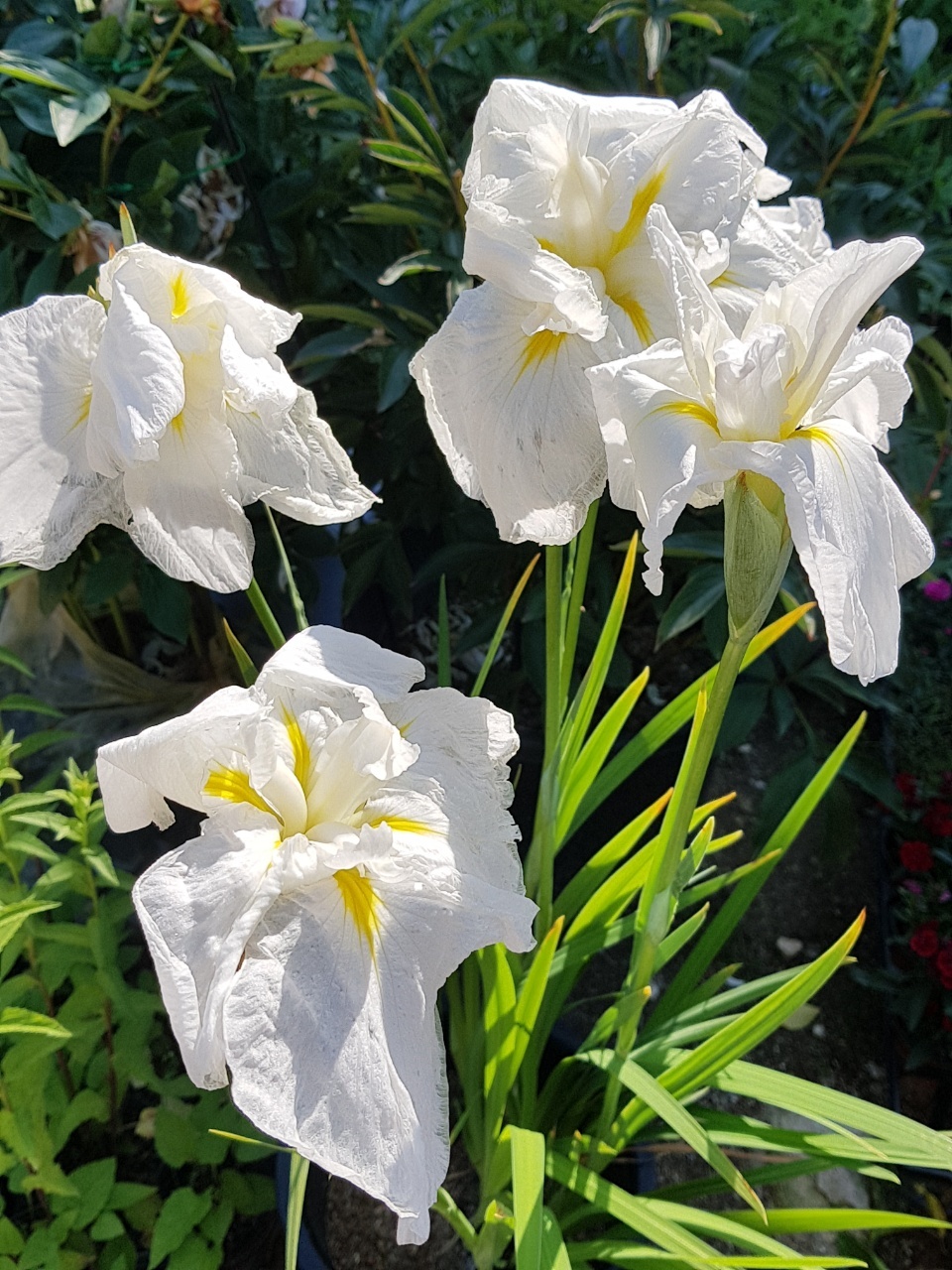 산들농원