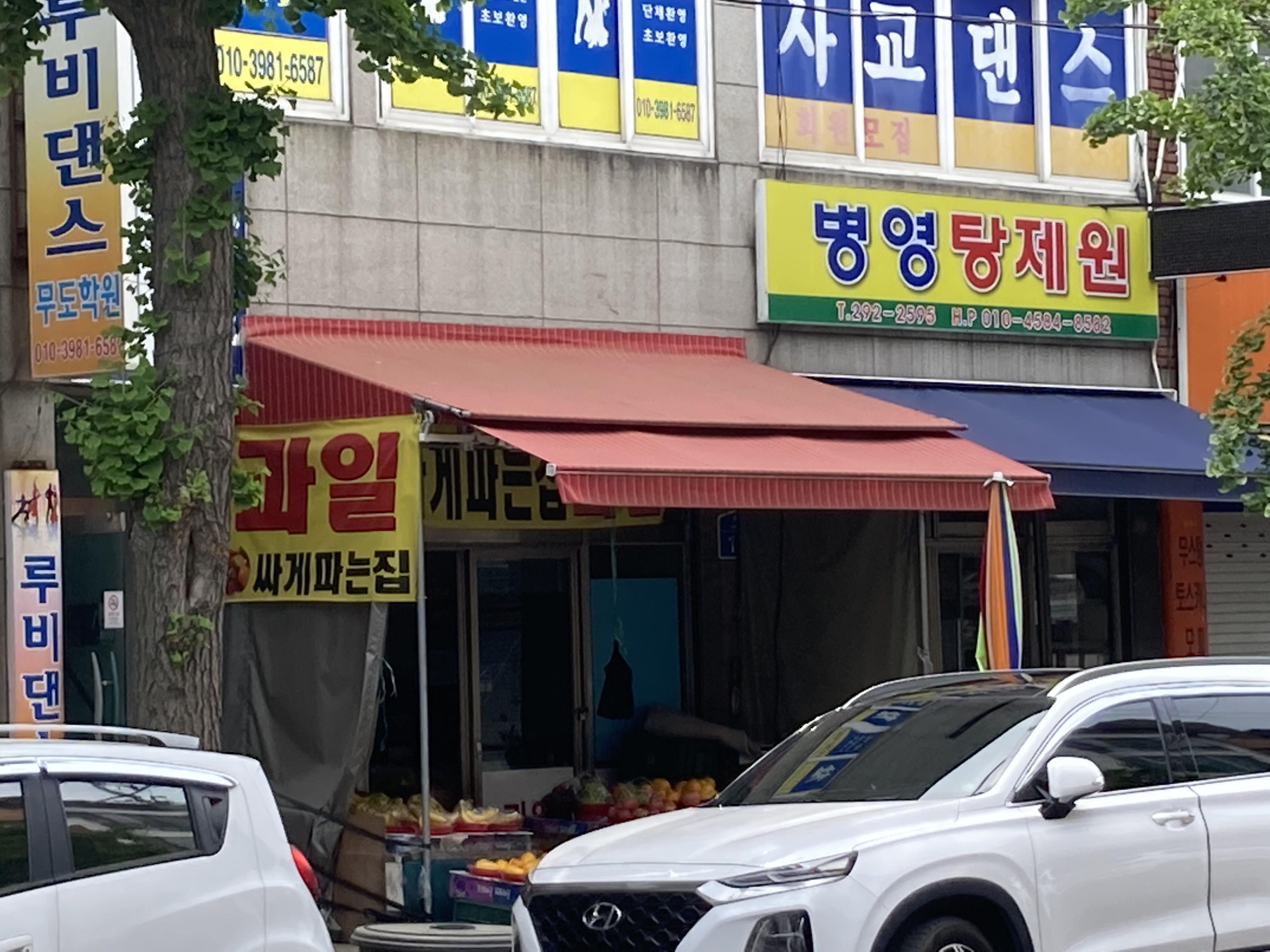 과일싸게파는집