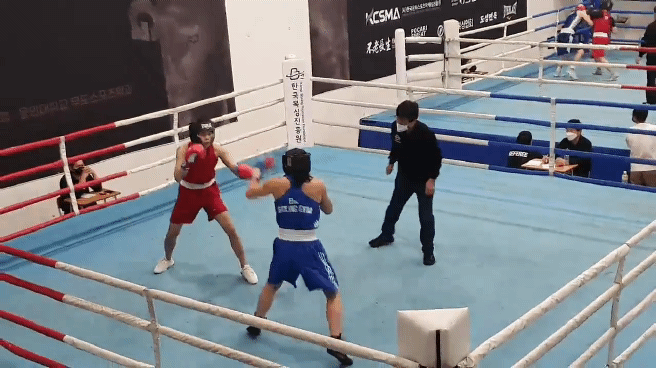 경기도 용인시 기흥구 복싱체육관 BEE BOXING GYM 내부 모습 3