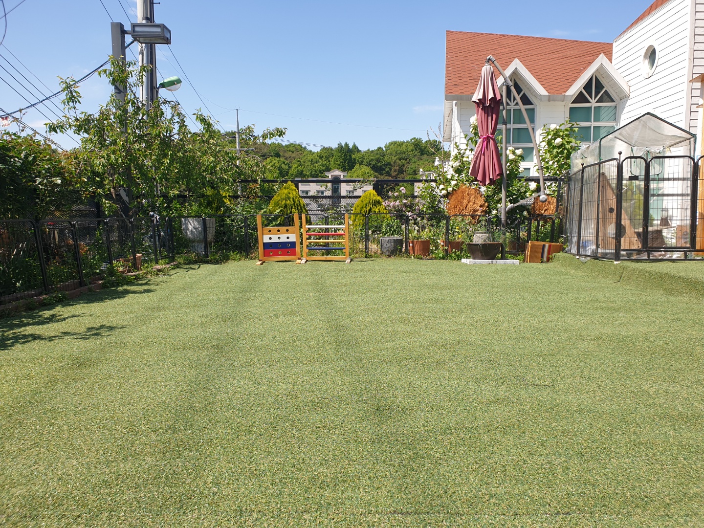 편하개놀다가냥 대표 이미지