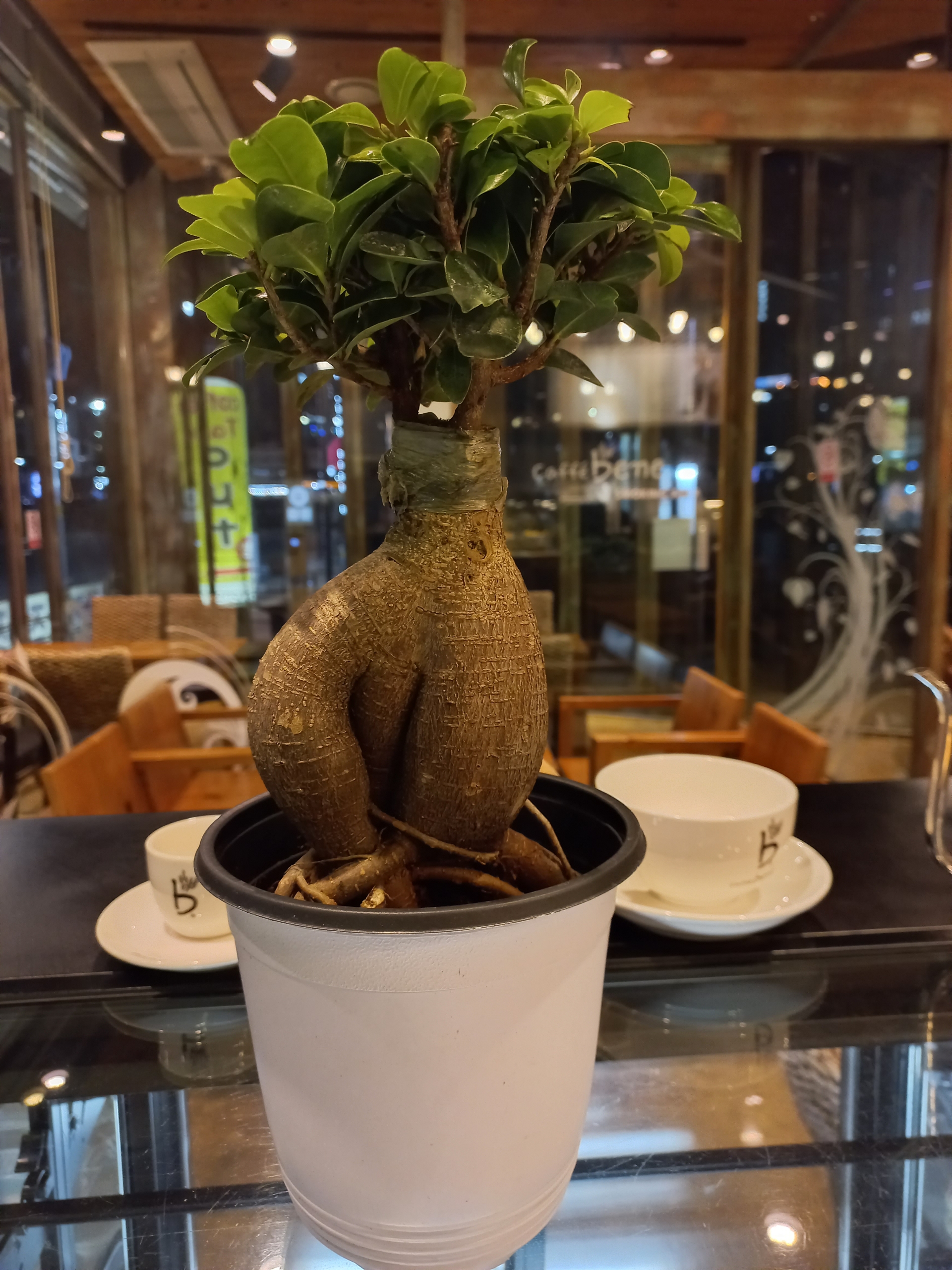 에스에스베이커리카페