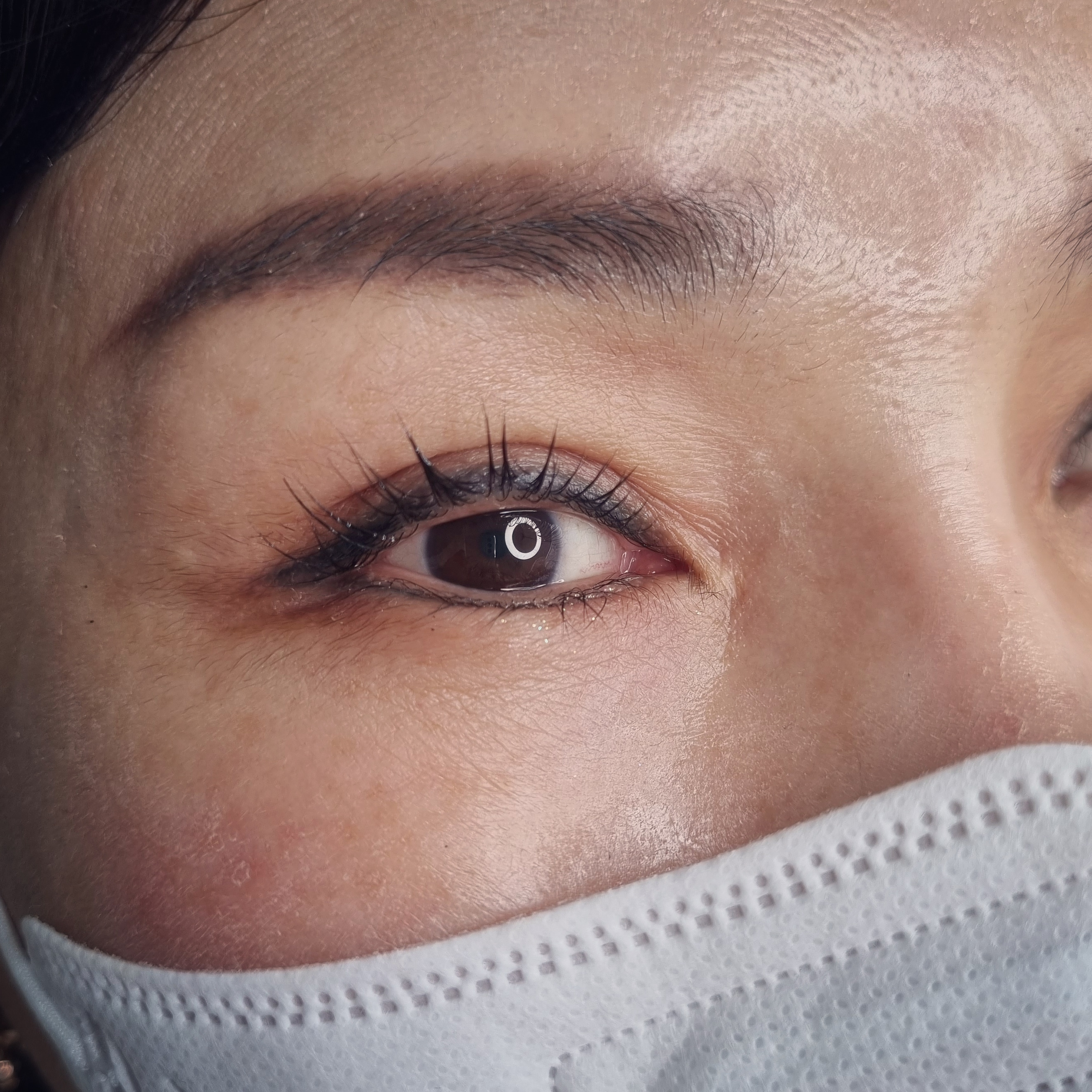 헤이브로우 대표 이미지