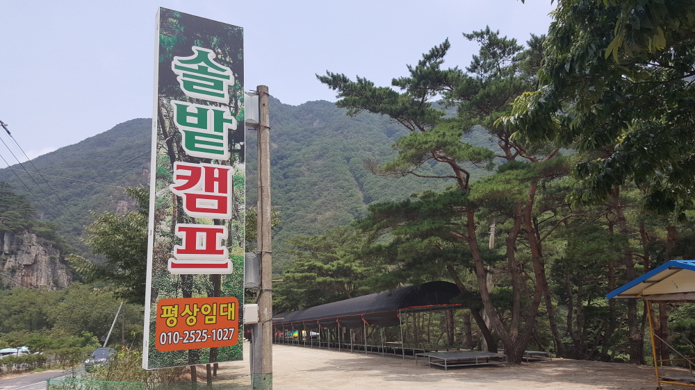사진 1