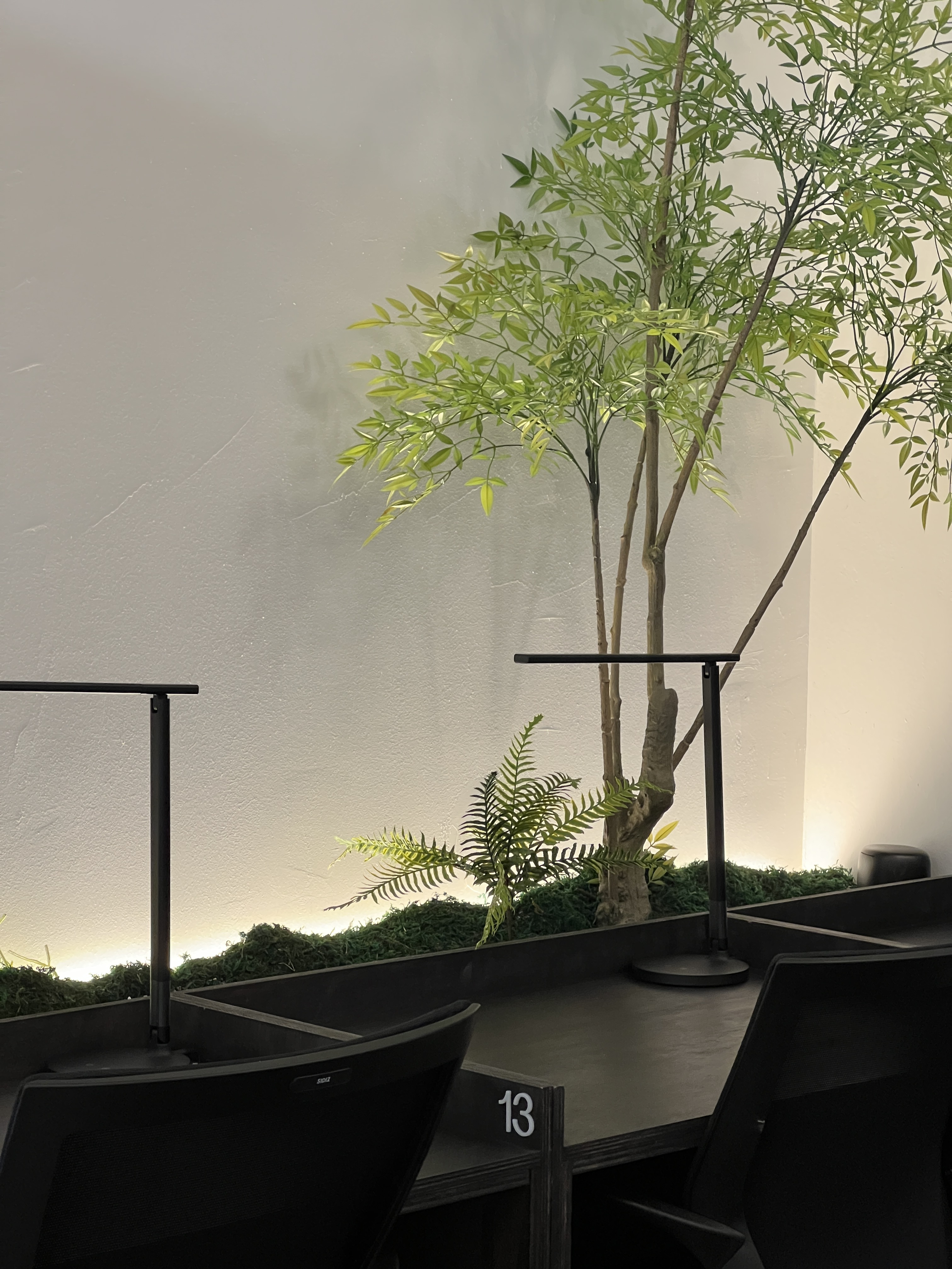 플레이스 타키툼