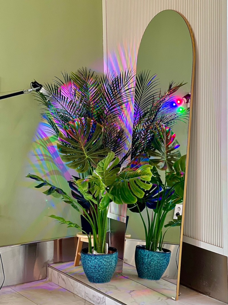 루프탑독플러스 대표 이미지