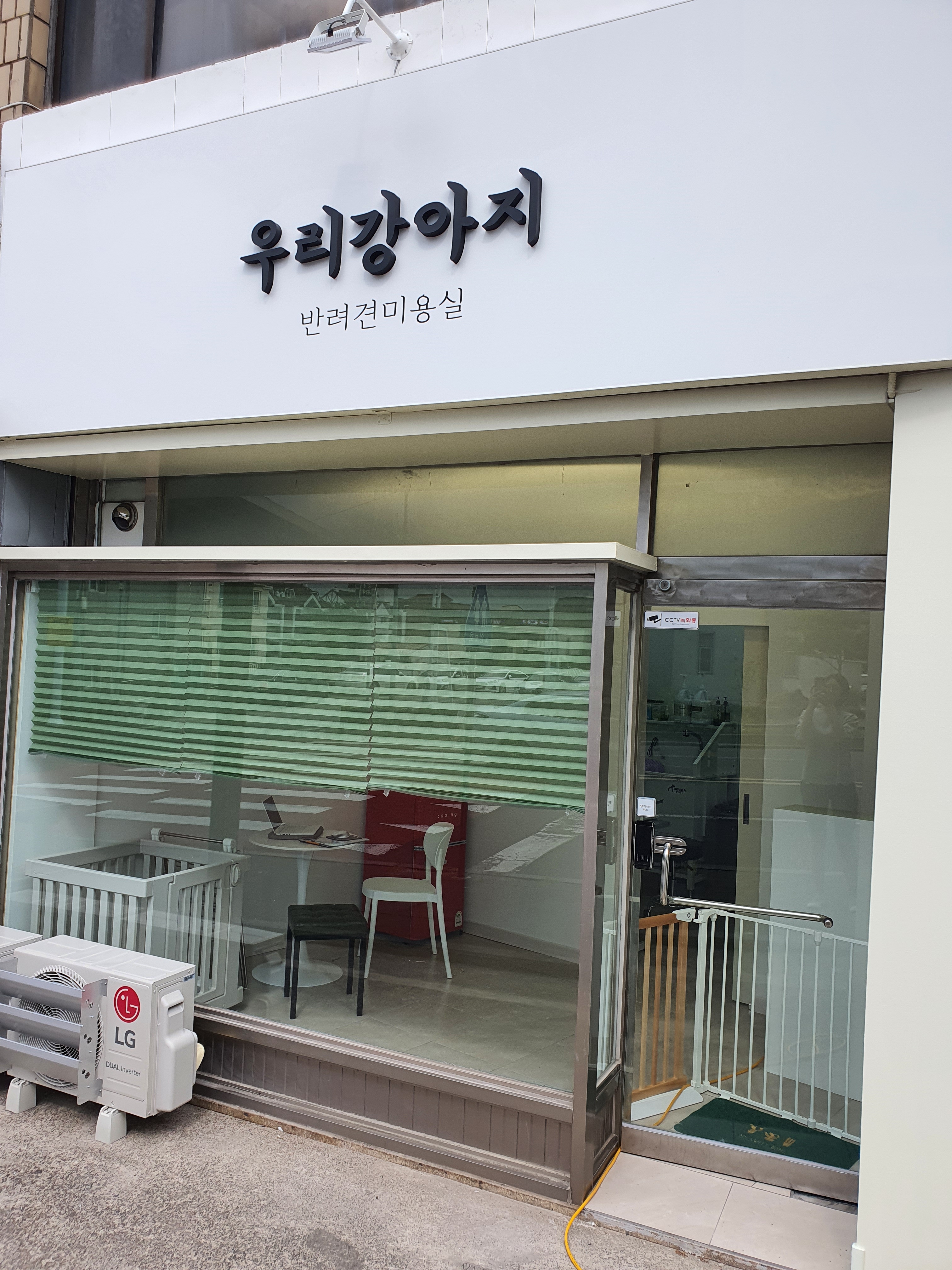 우리강아지 대표 이미지