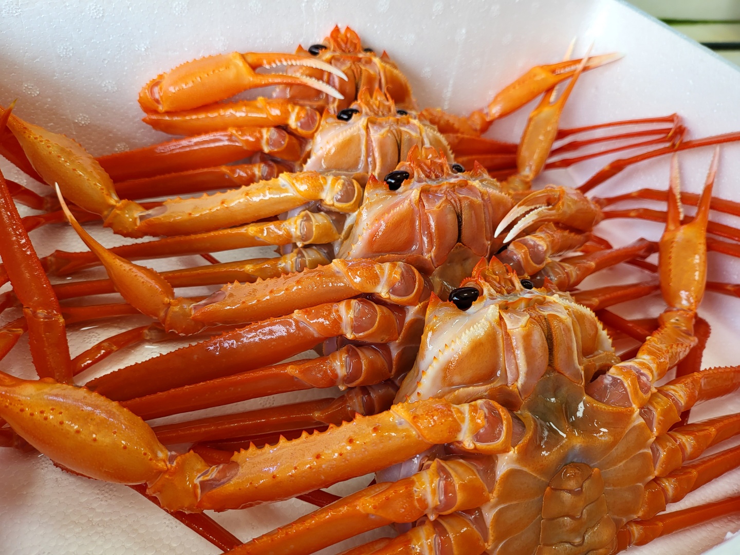 진강수산식당