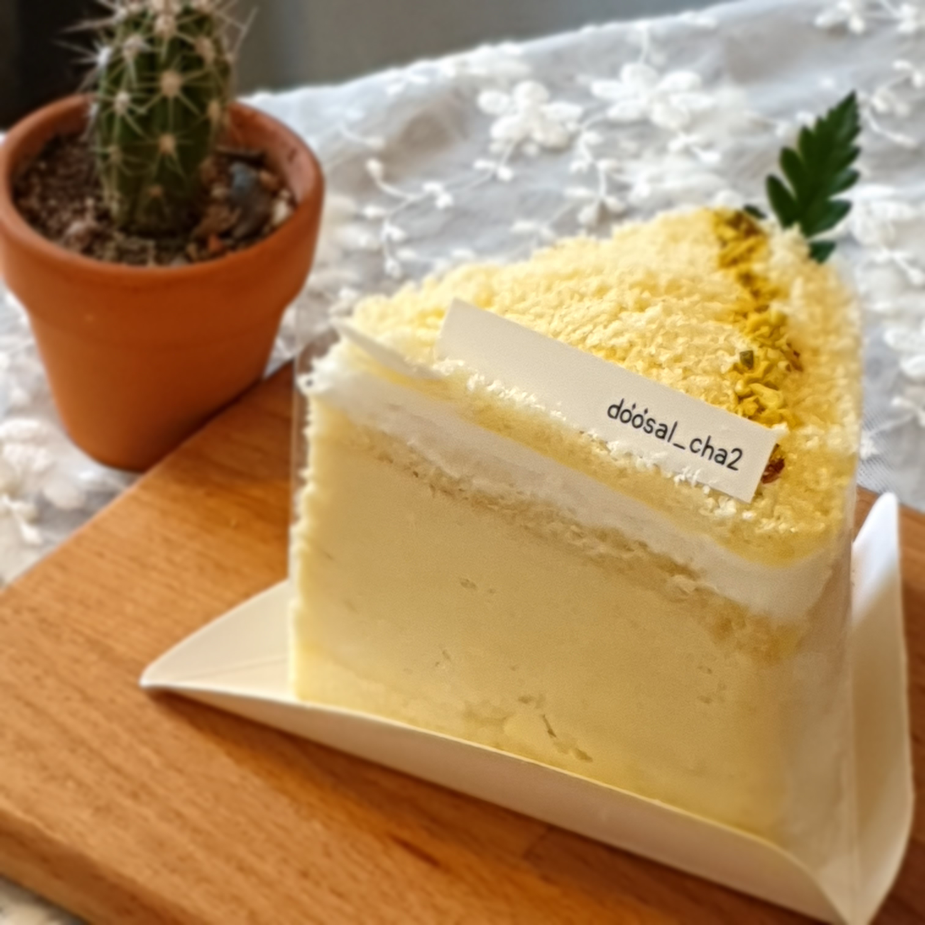 두살차이 부산 애견맛집