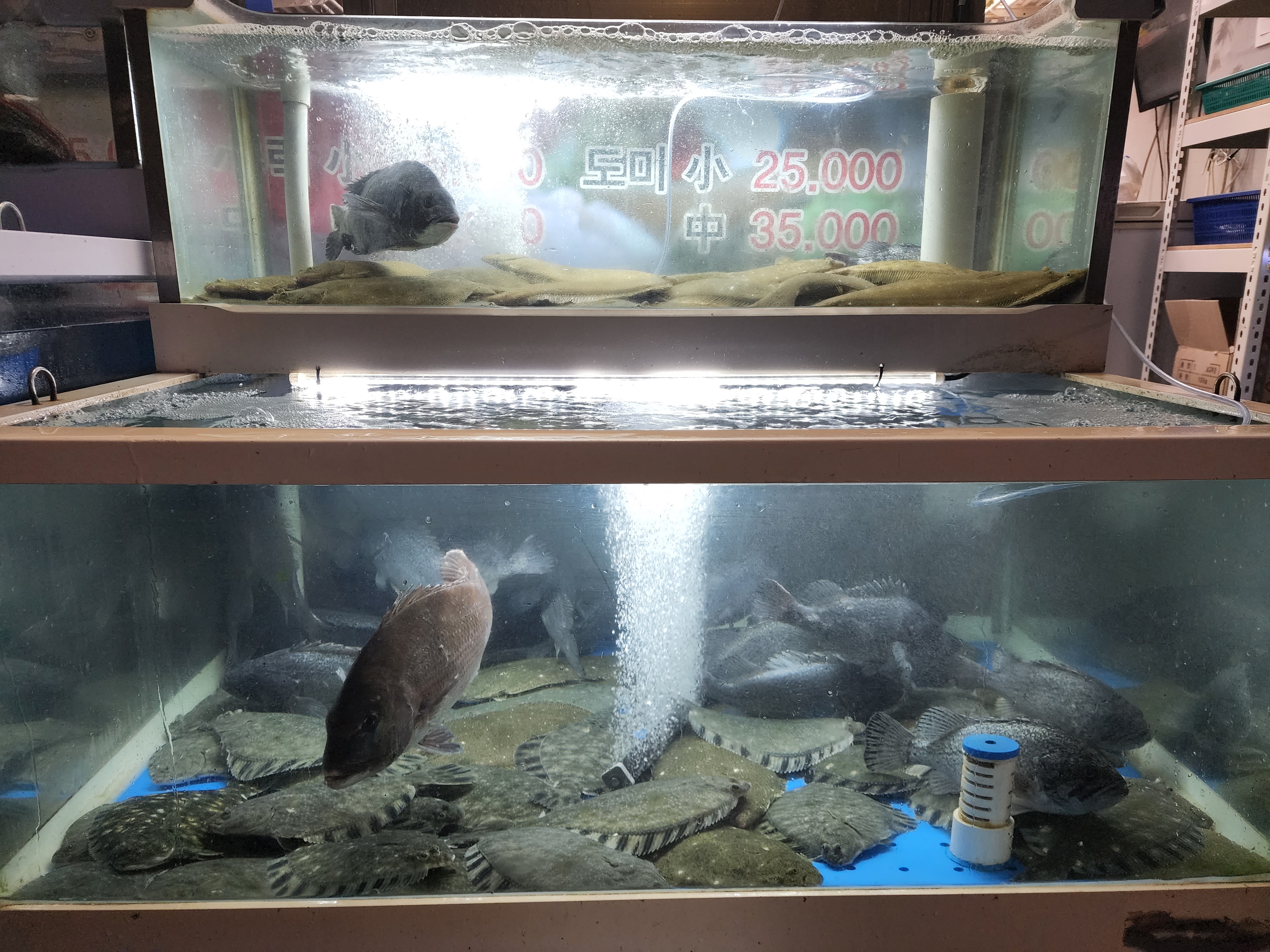 녹동수산