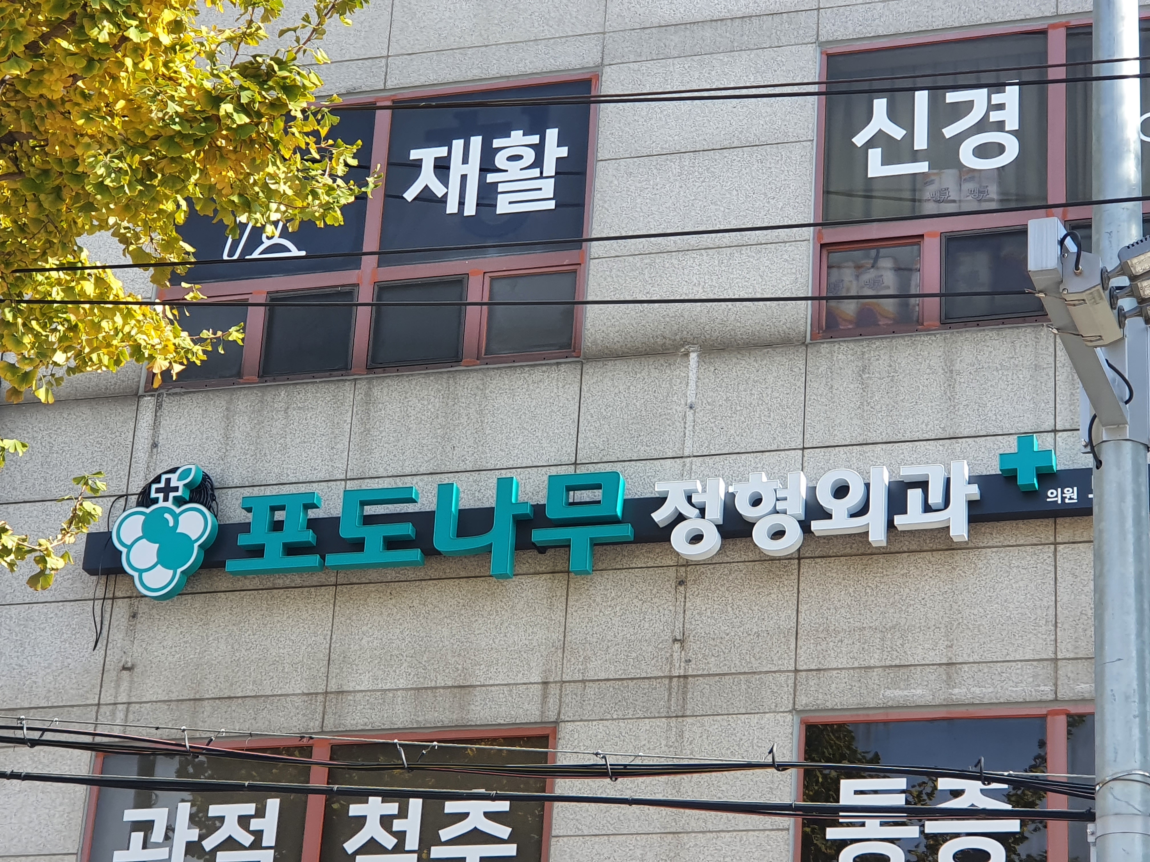 포도나무정형외과의원