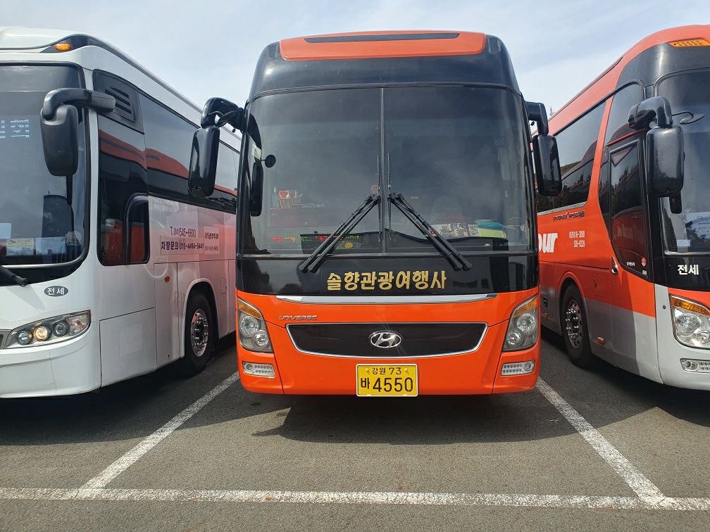 솔향관광여행사