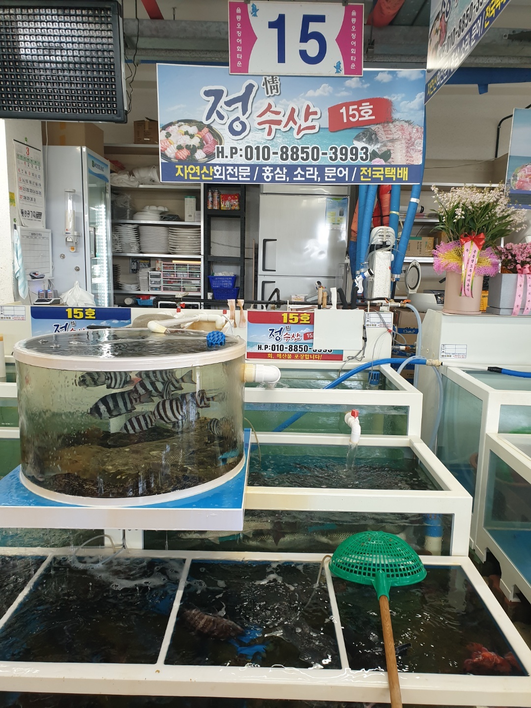 정수산