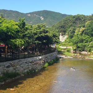 녹색 오토캠핑장