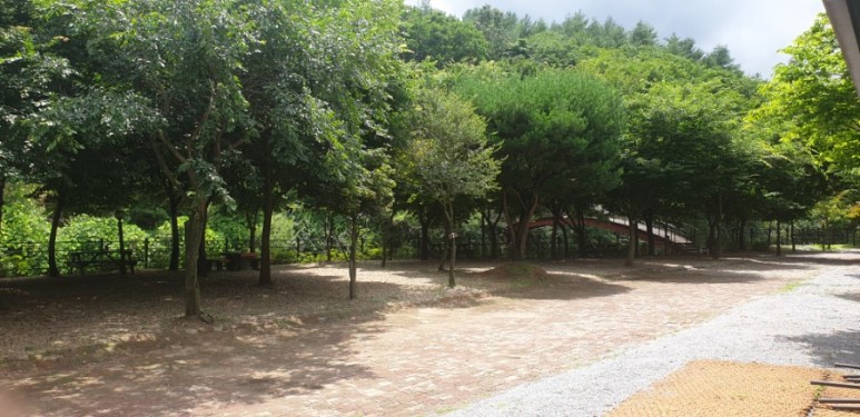 문경녹색오토캠핑장