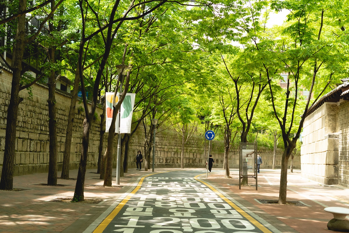 정신분석센터 판도 대표 이미지