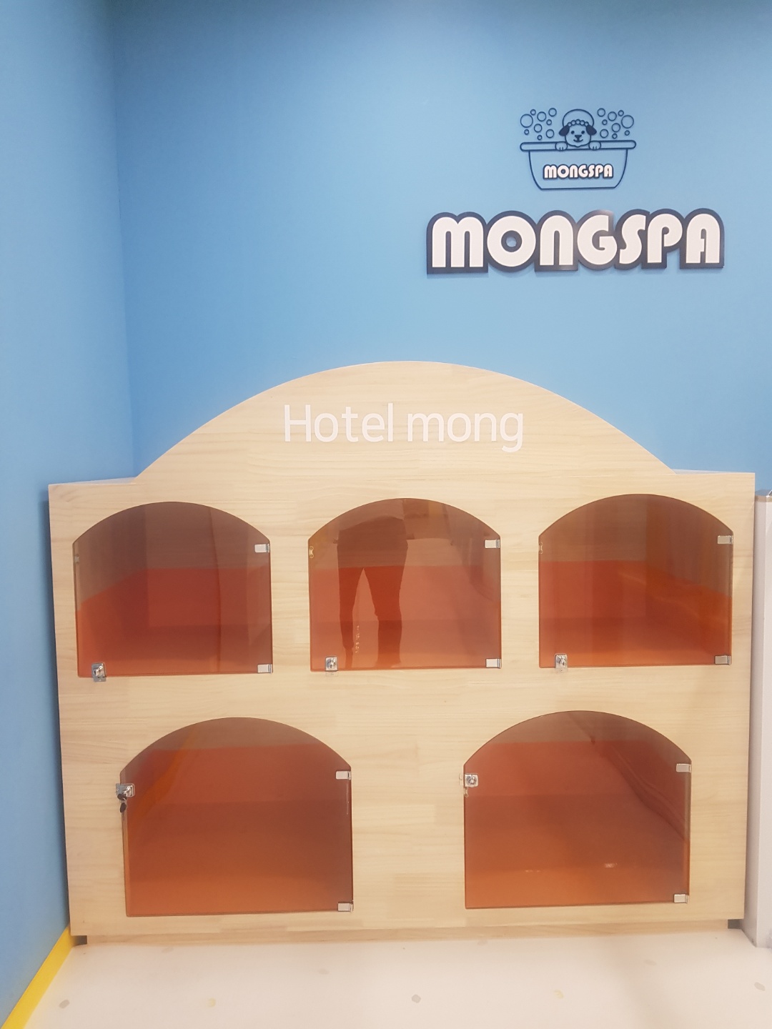 몽스파 춘천점 대표 이미지