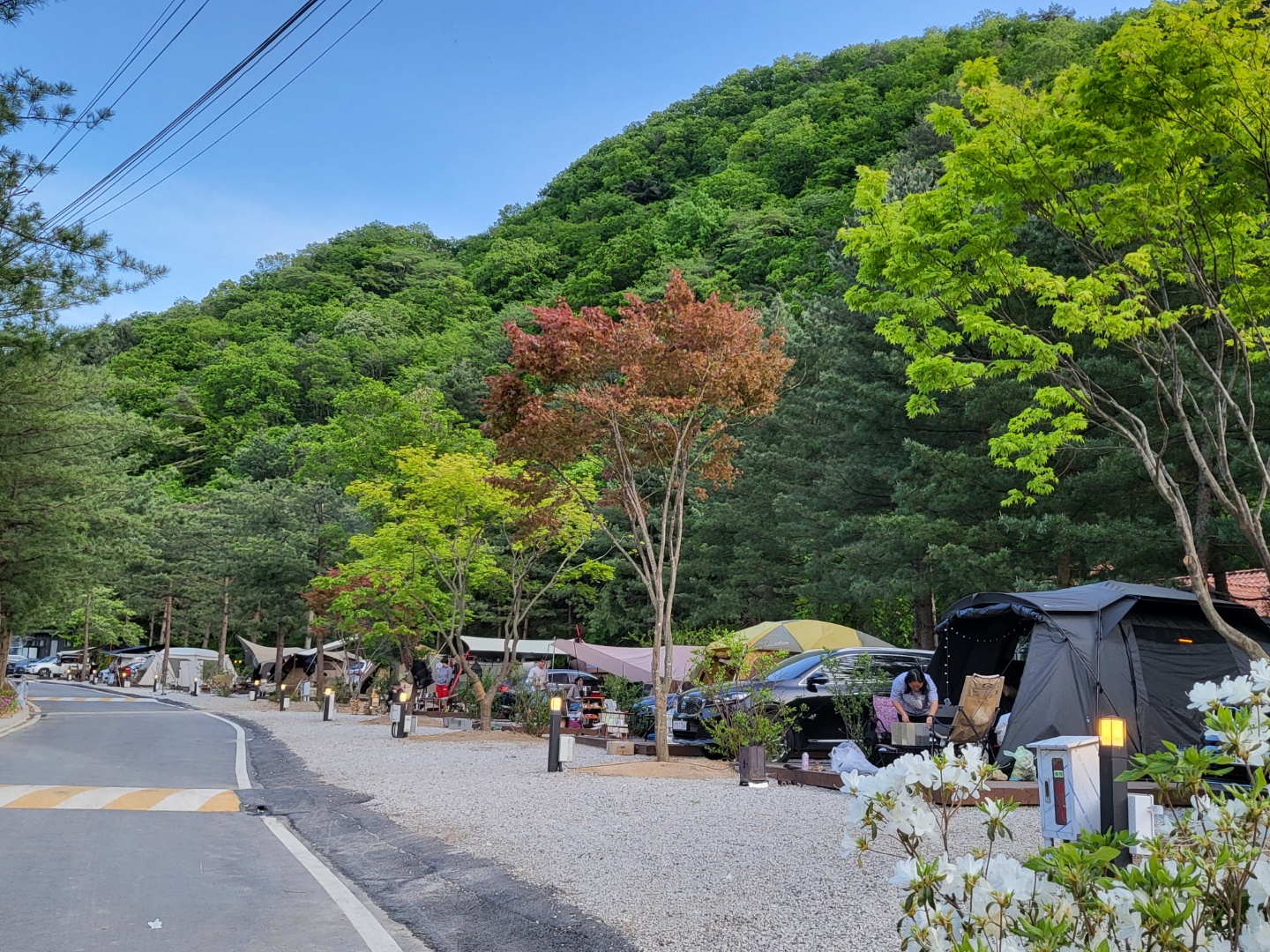 산정호수돌고래캠핑장관광농원