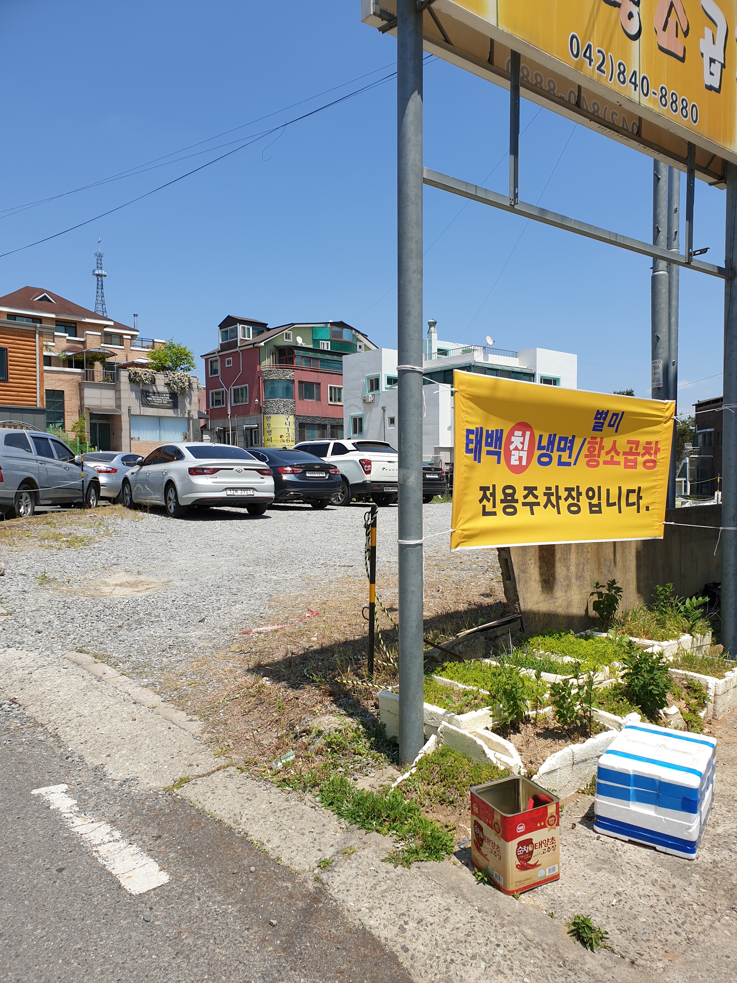 태백칡냉면 대표 이미지