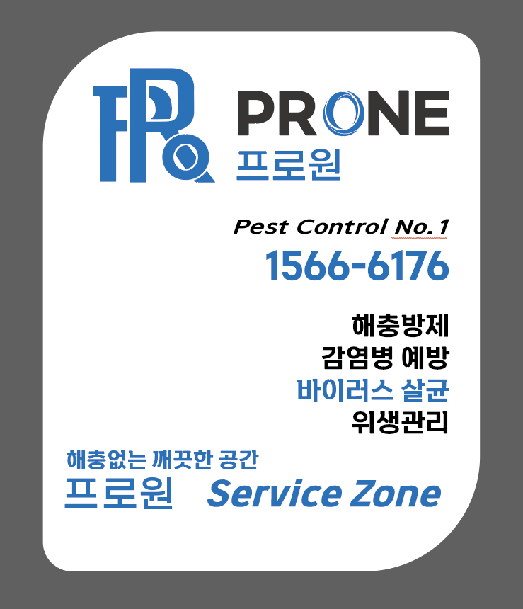 프로원