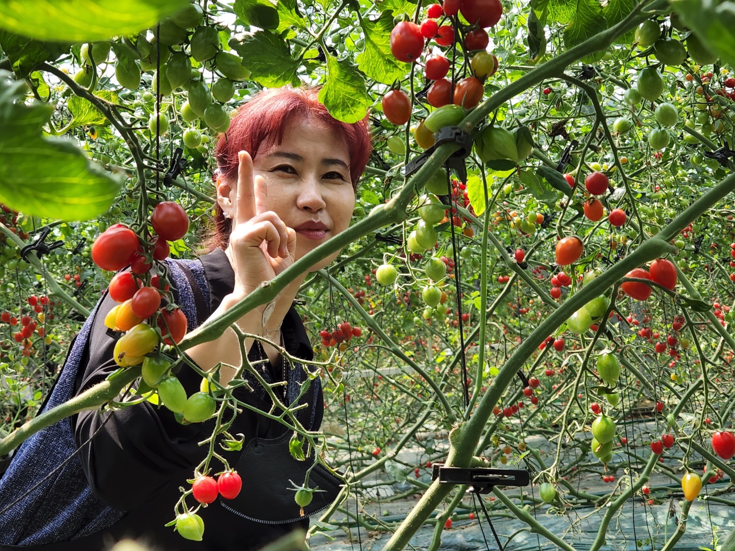 뜰안농장