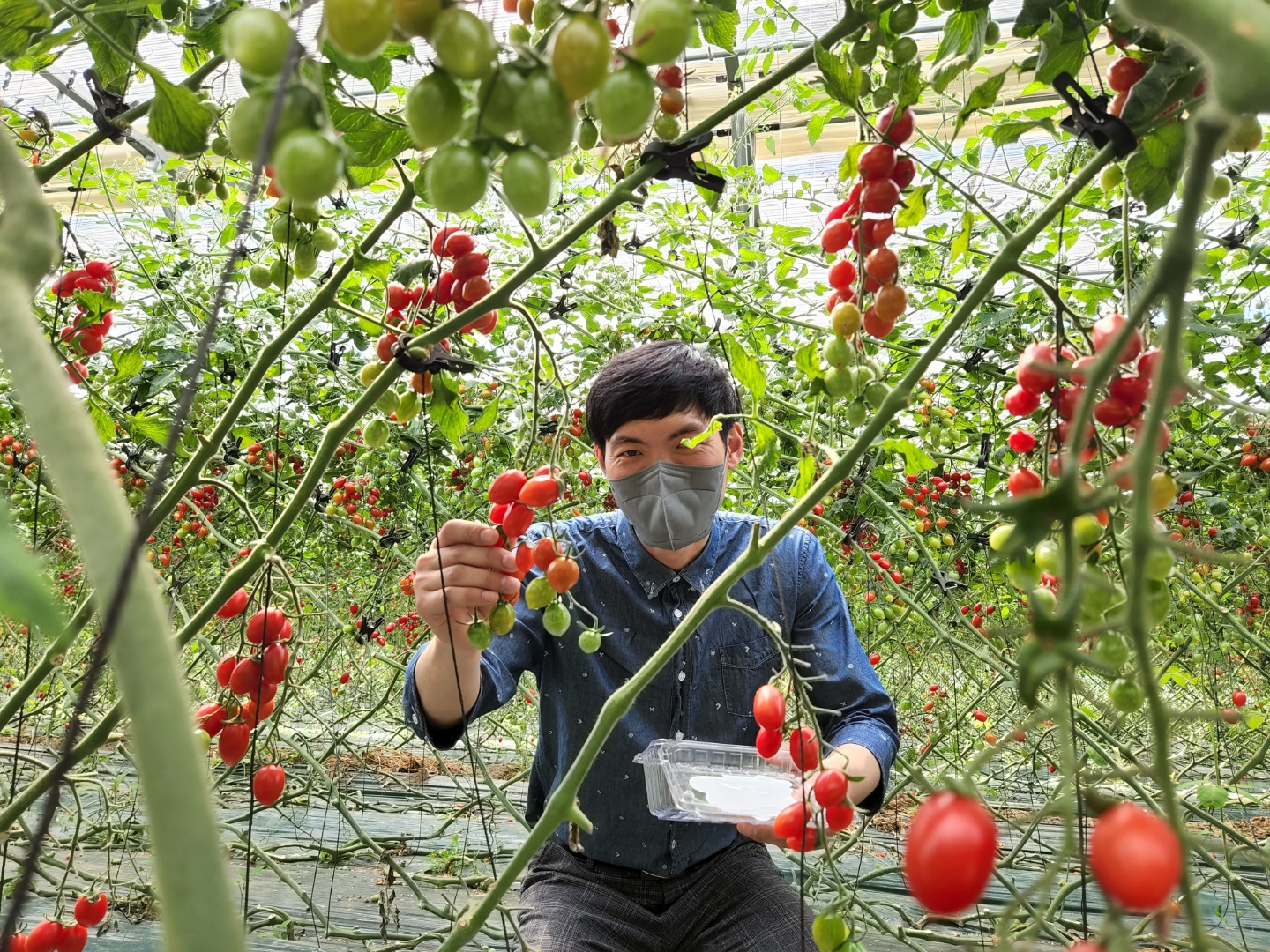 뜰안농장
