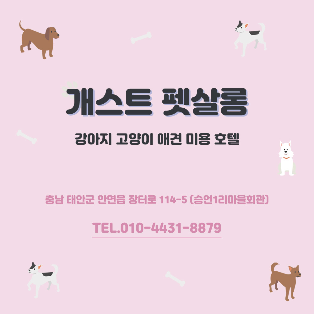 개스트 펫살롱 대표 이미지