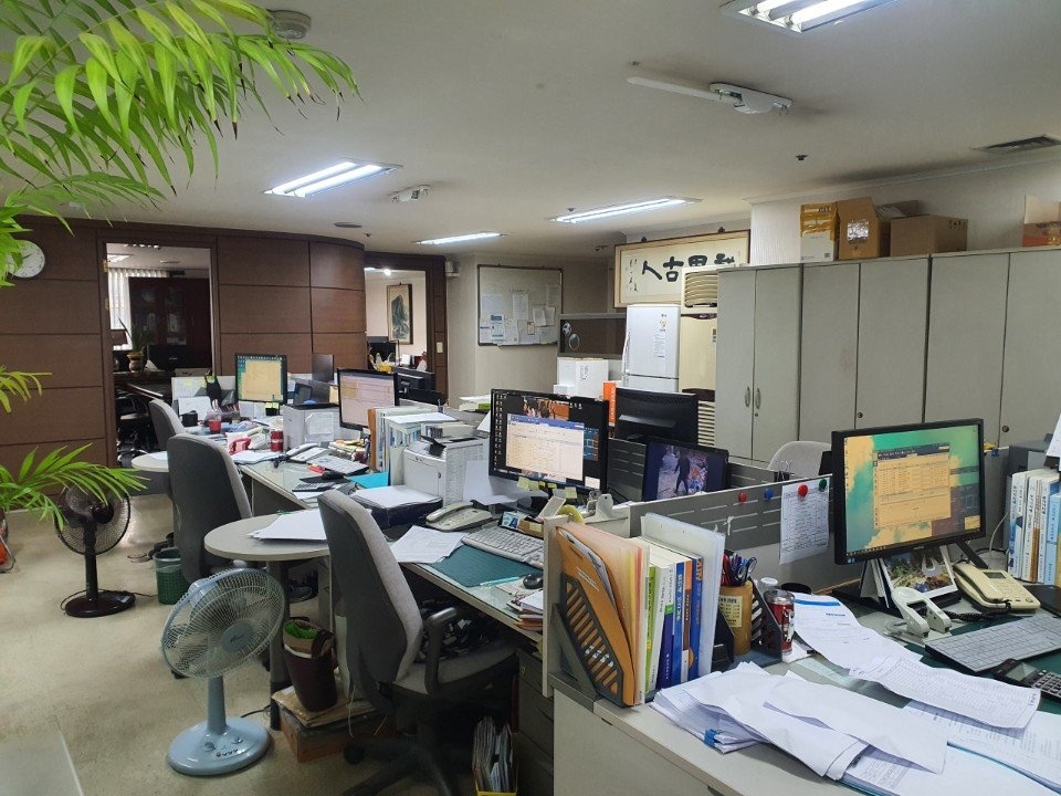 세무법인 세진 대표 이미지
