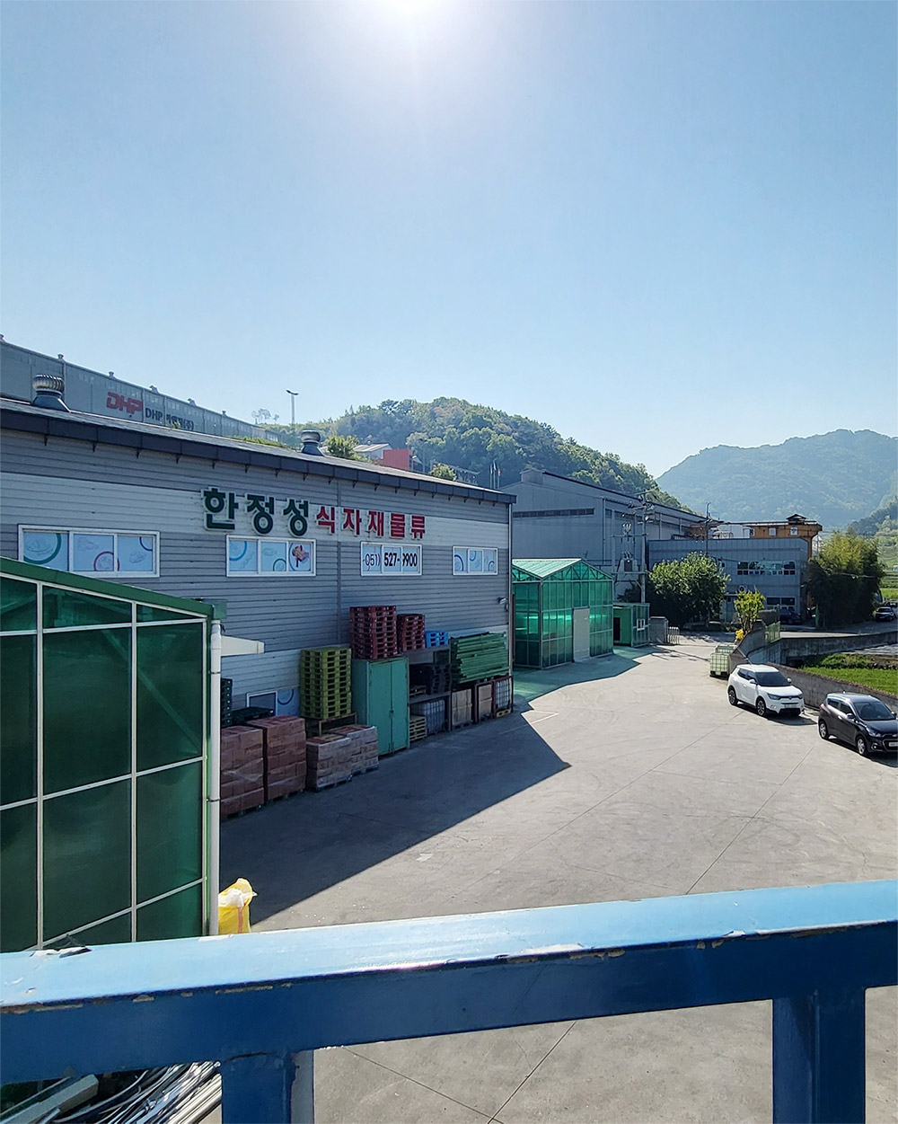 한정성