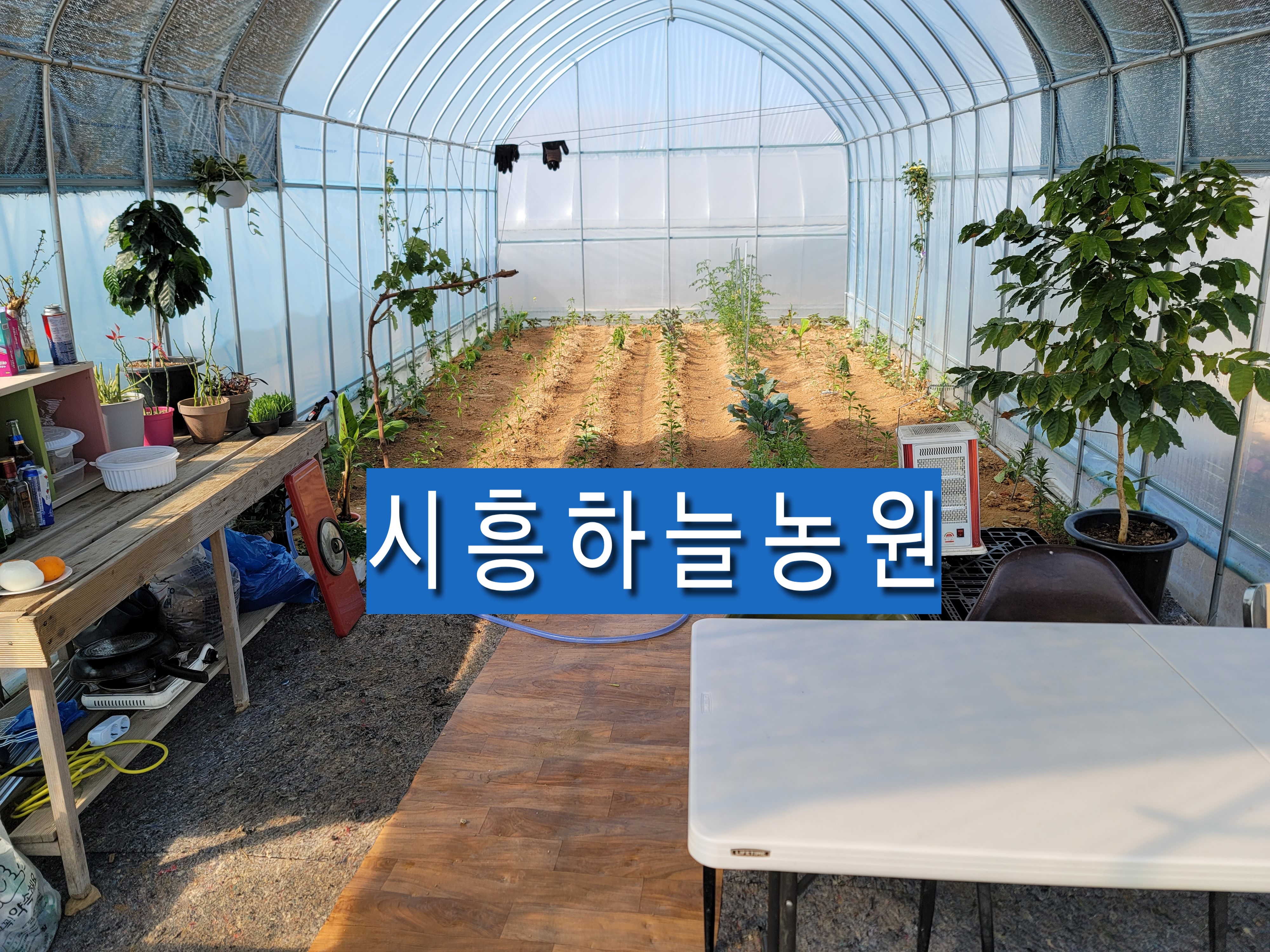 시흥하늘농원