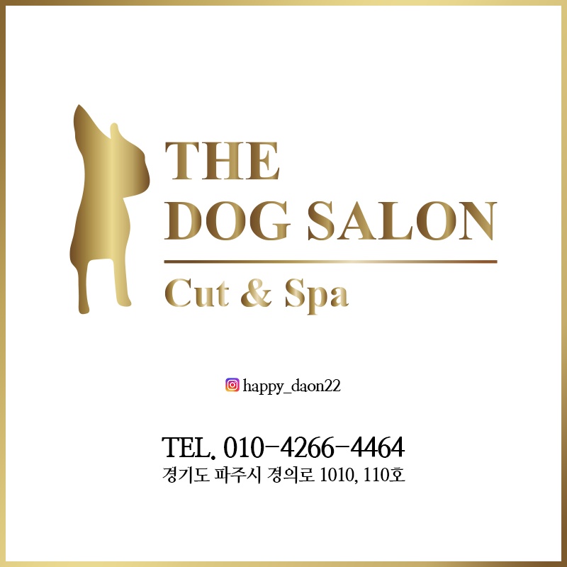 The dog salon