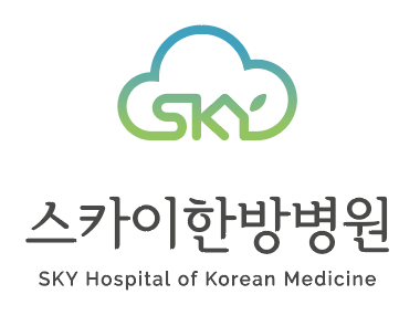 스카이한방병원 대표 이미지