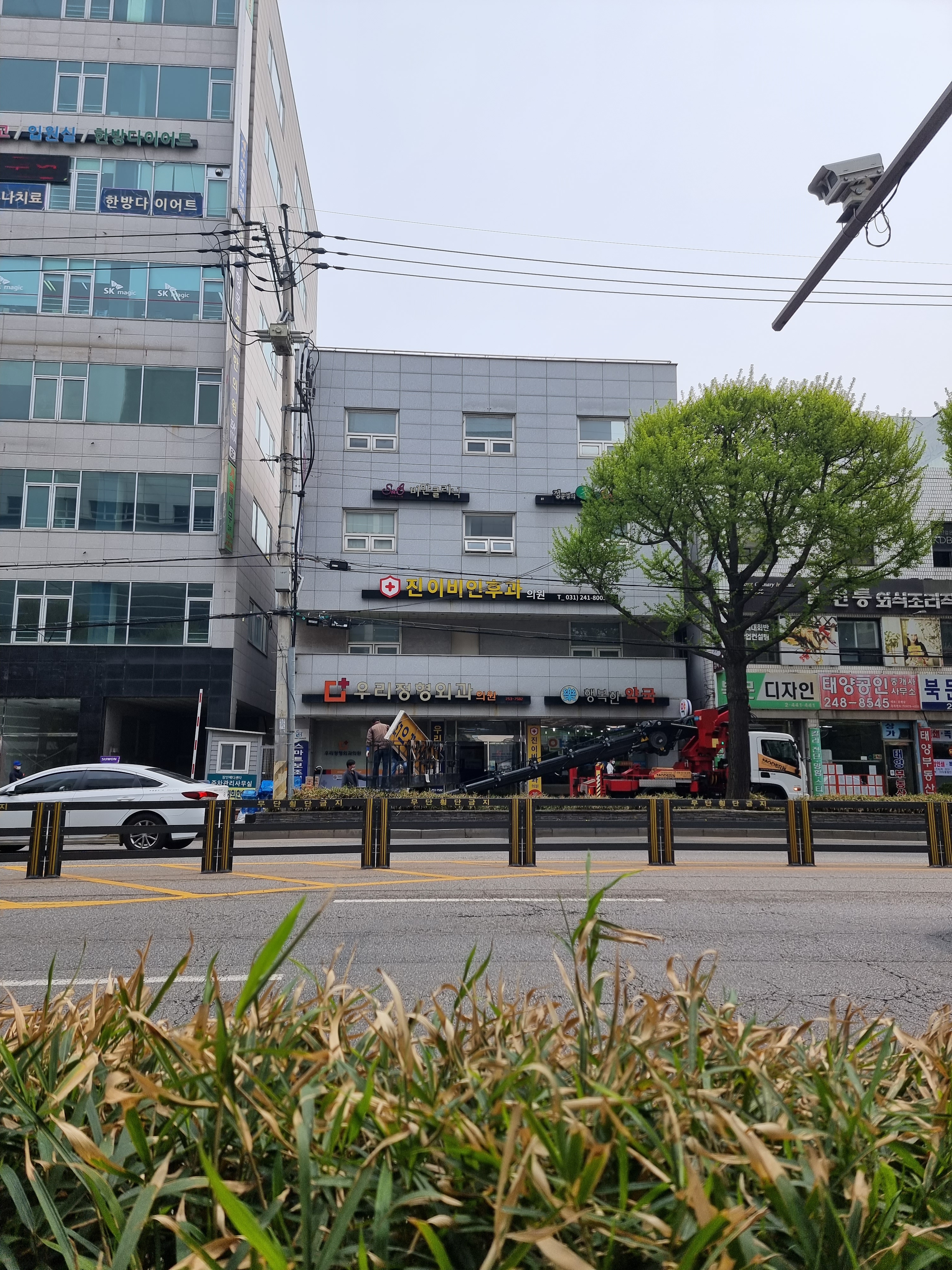 진이비인후과의원 대표 이미지