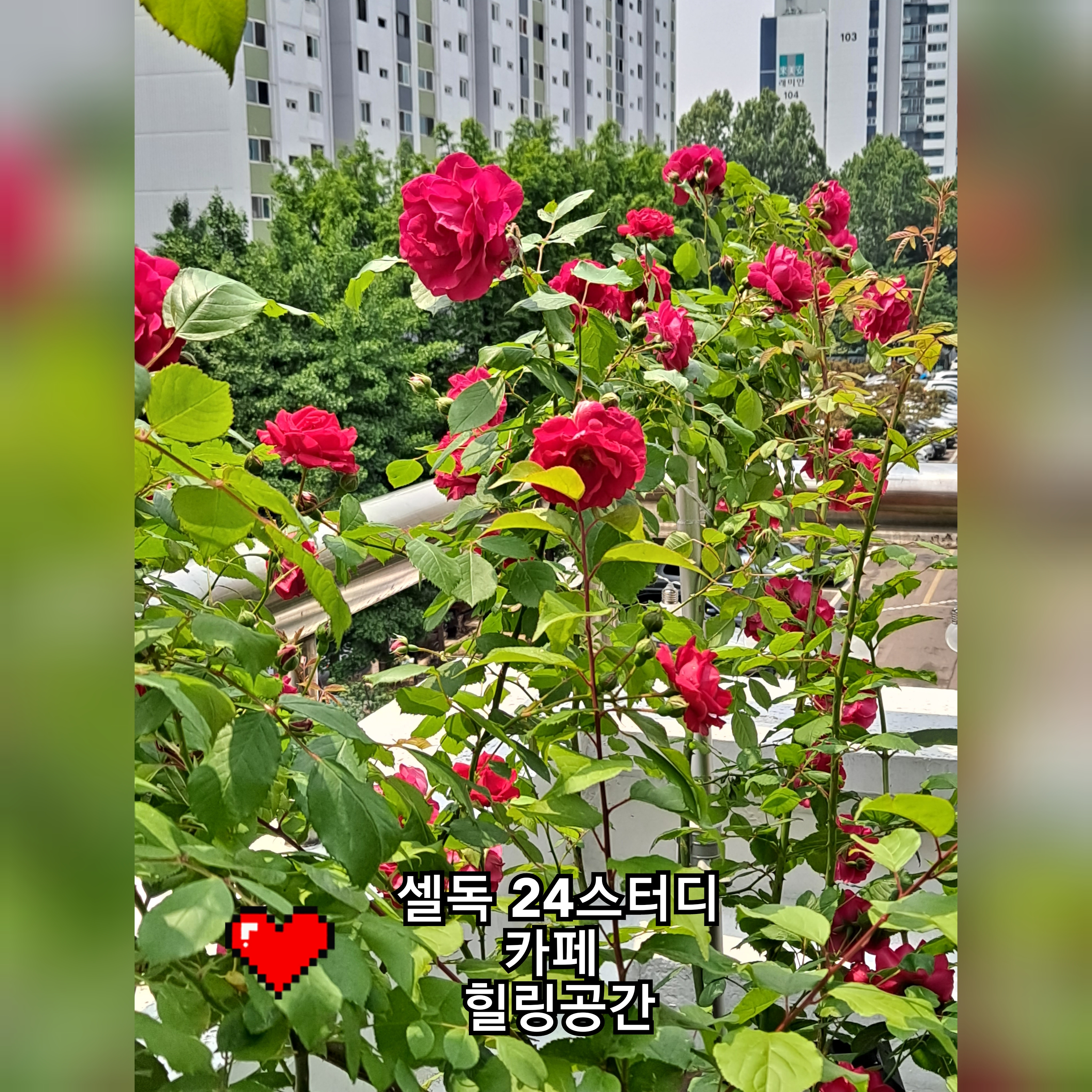 업체사진