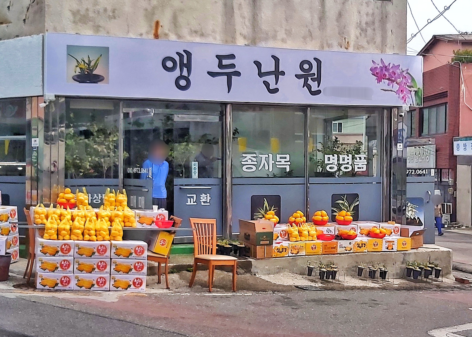 앵두난원