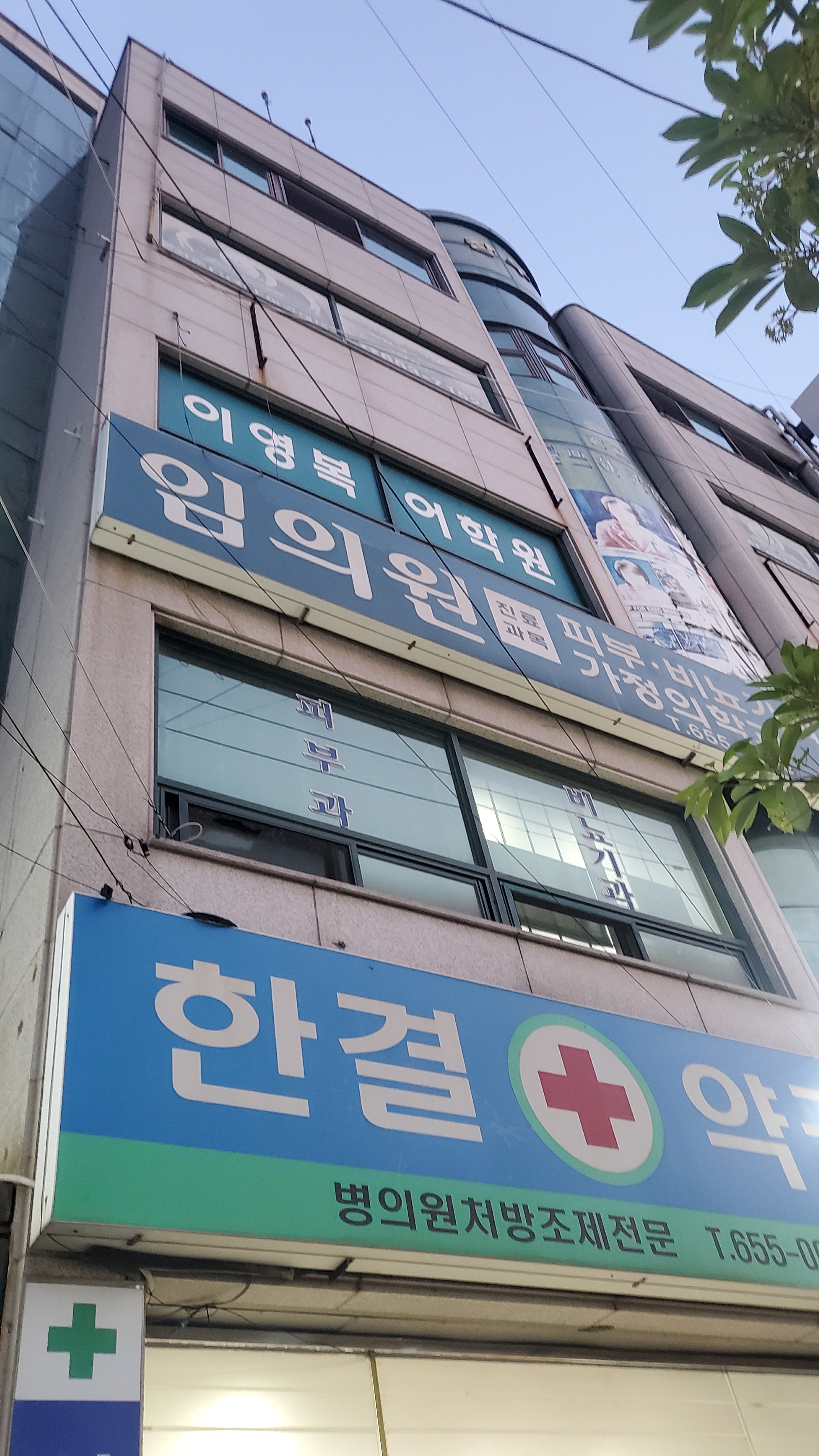 임의원