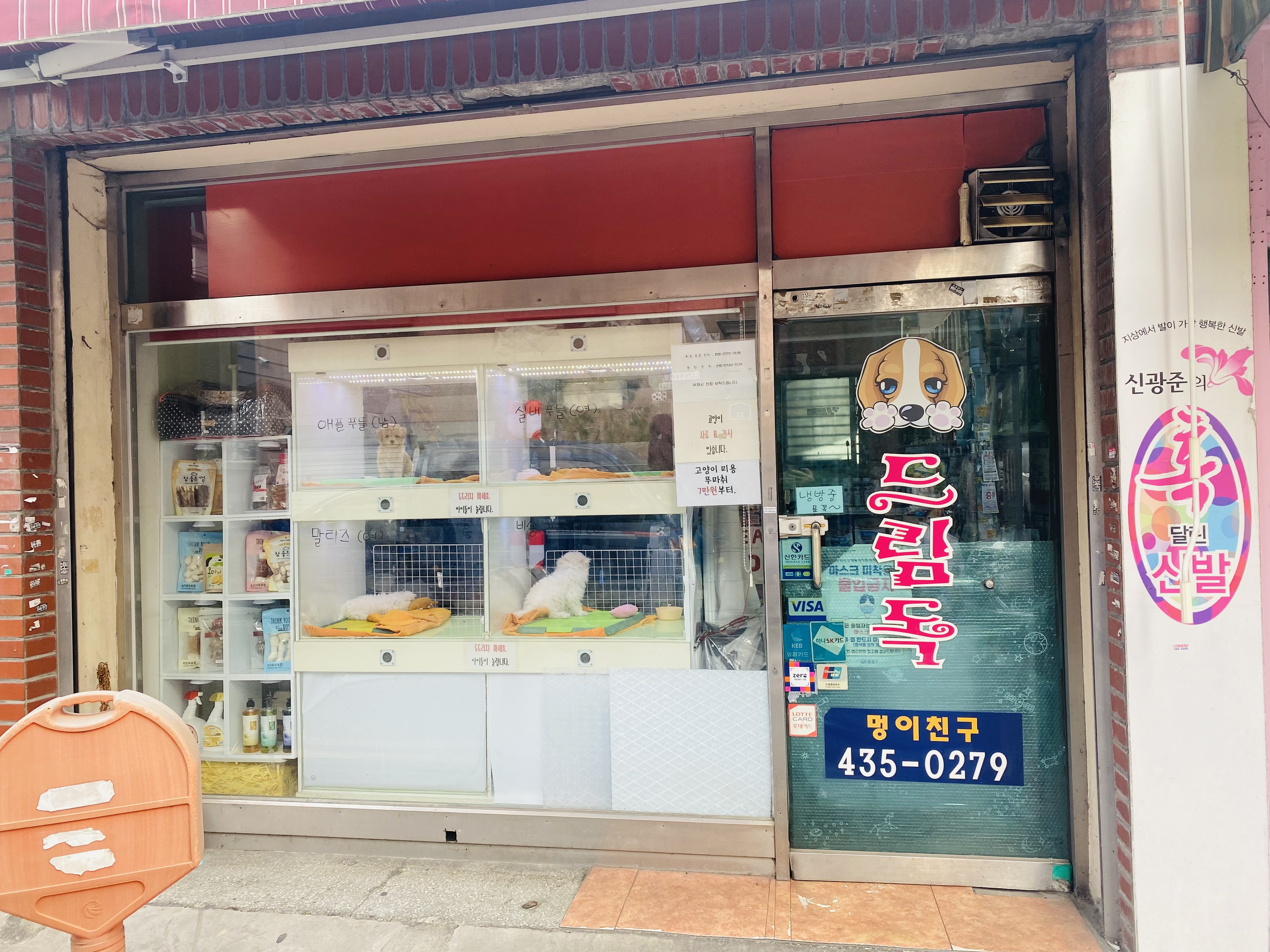 애견용품전문 추천 서울 중랑구 지역 우수업체 강아지용품 애완용품 애견용품점 반려동물용품점 강아지스카프 애견용품샵 드림독