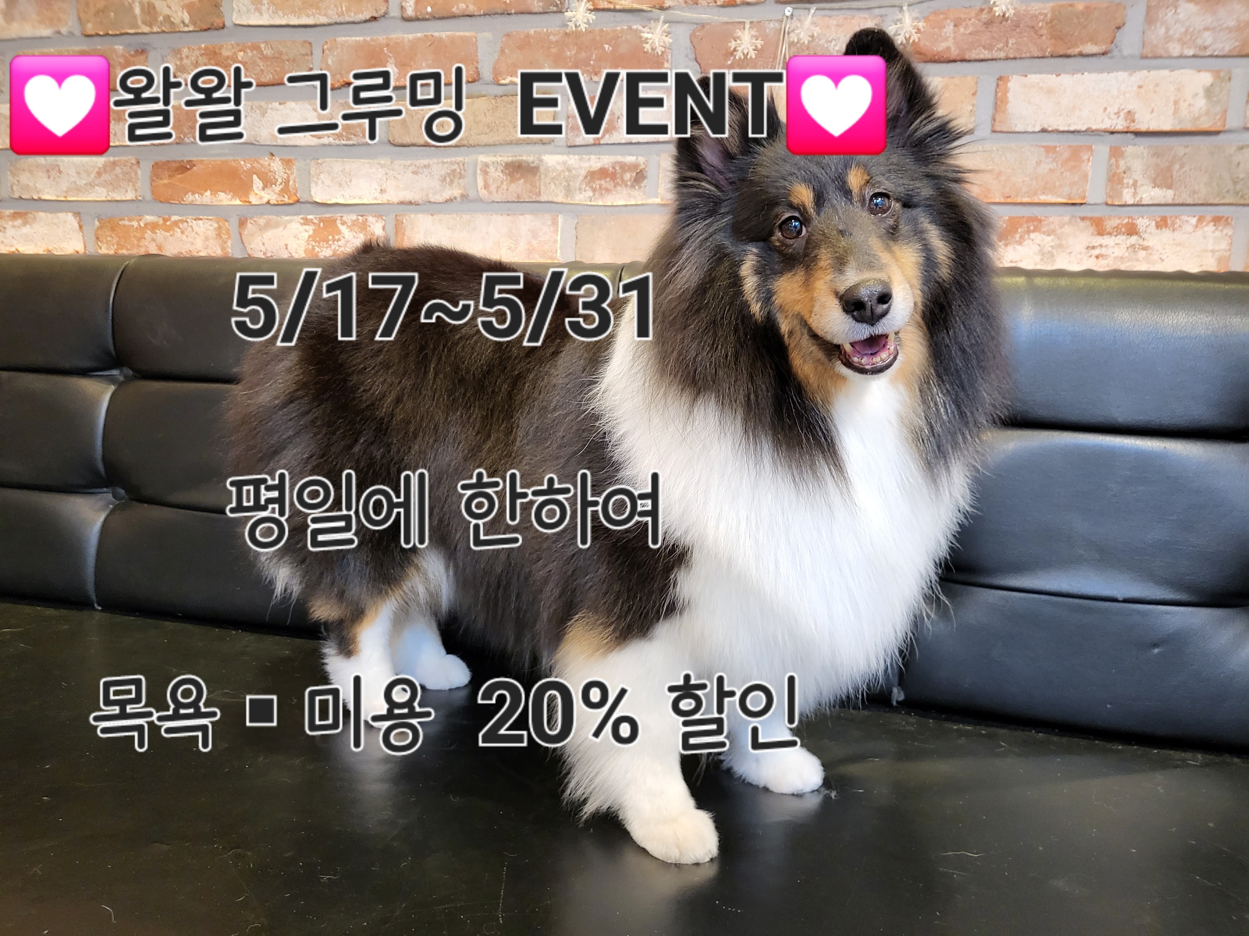 주변 가볼만한 곳