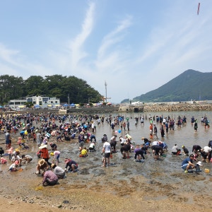 한산도 충무공교실 야영장